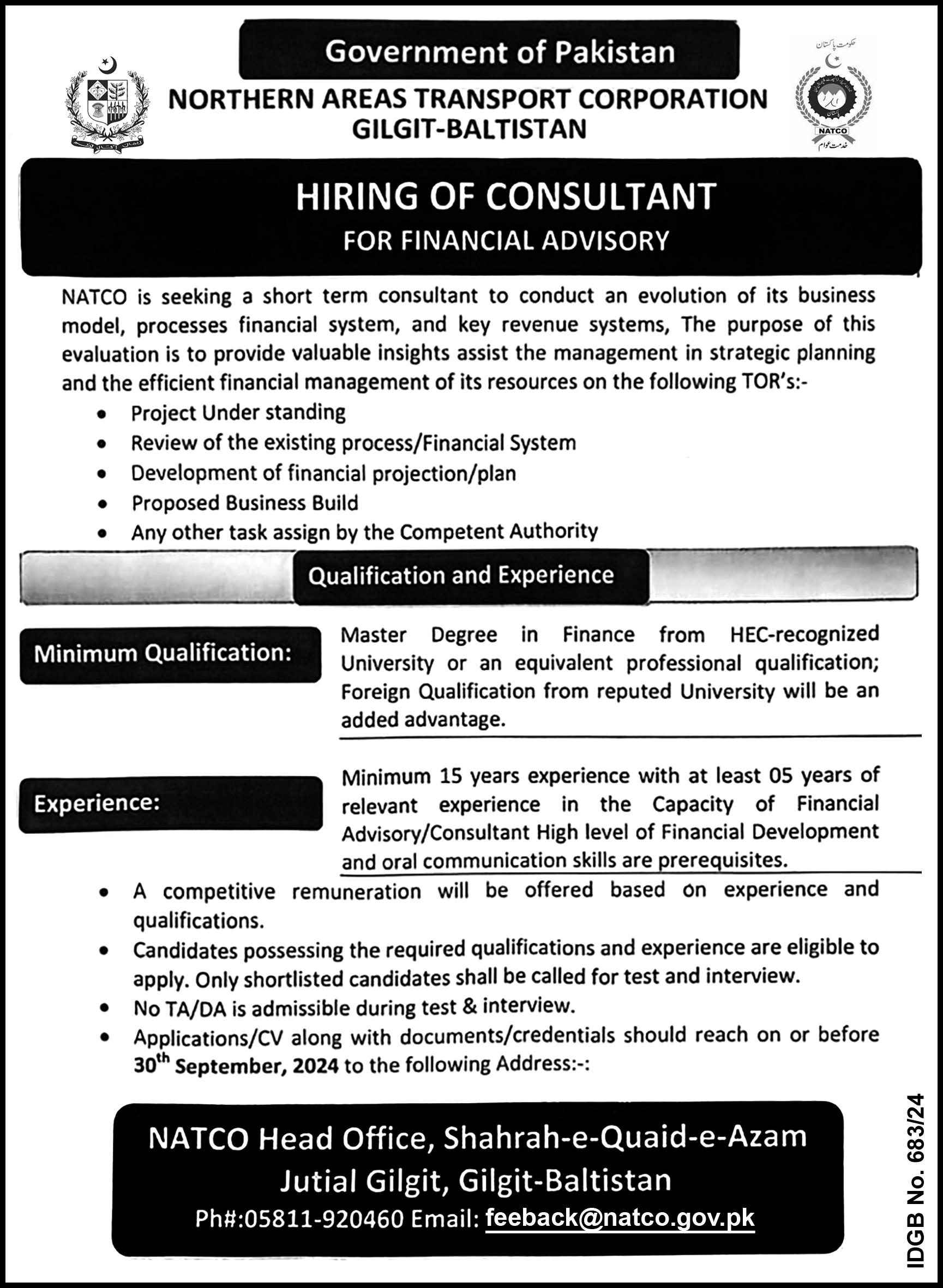 Consultant 