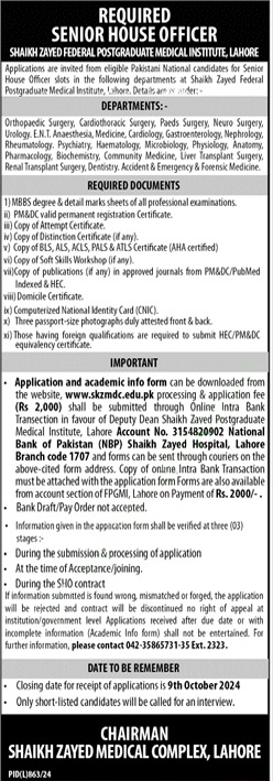 Senior House Officer 