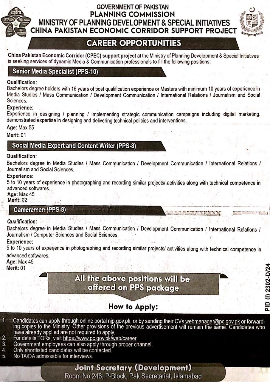 Content Writer